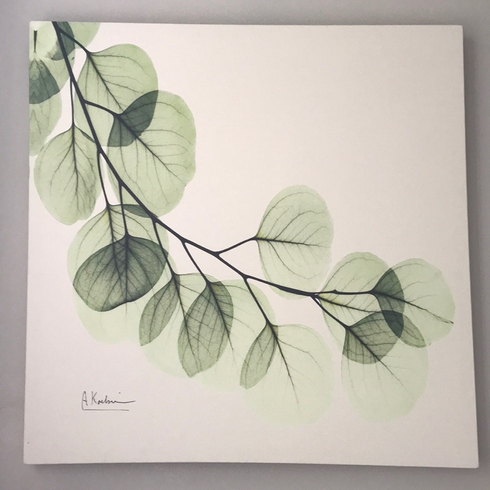 24”x24” canvas print